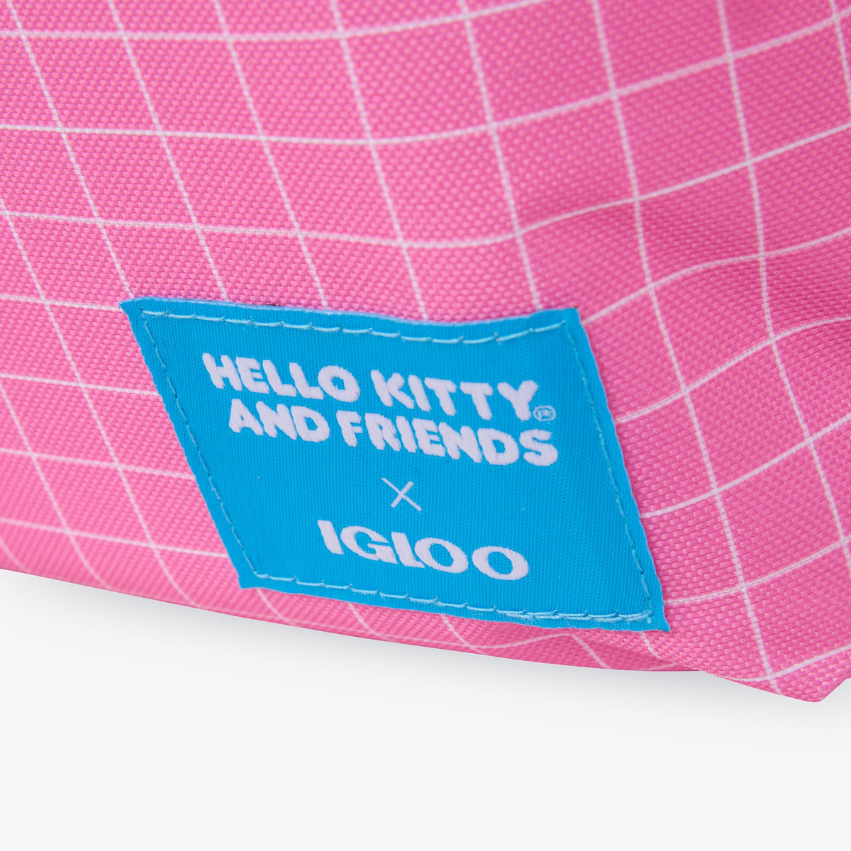 hello-kitty-and-friends-bff-mini-convertible-backpack-cooler-z5 00027591-L.jpg