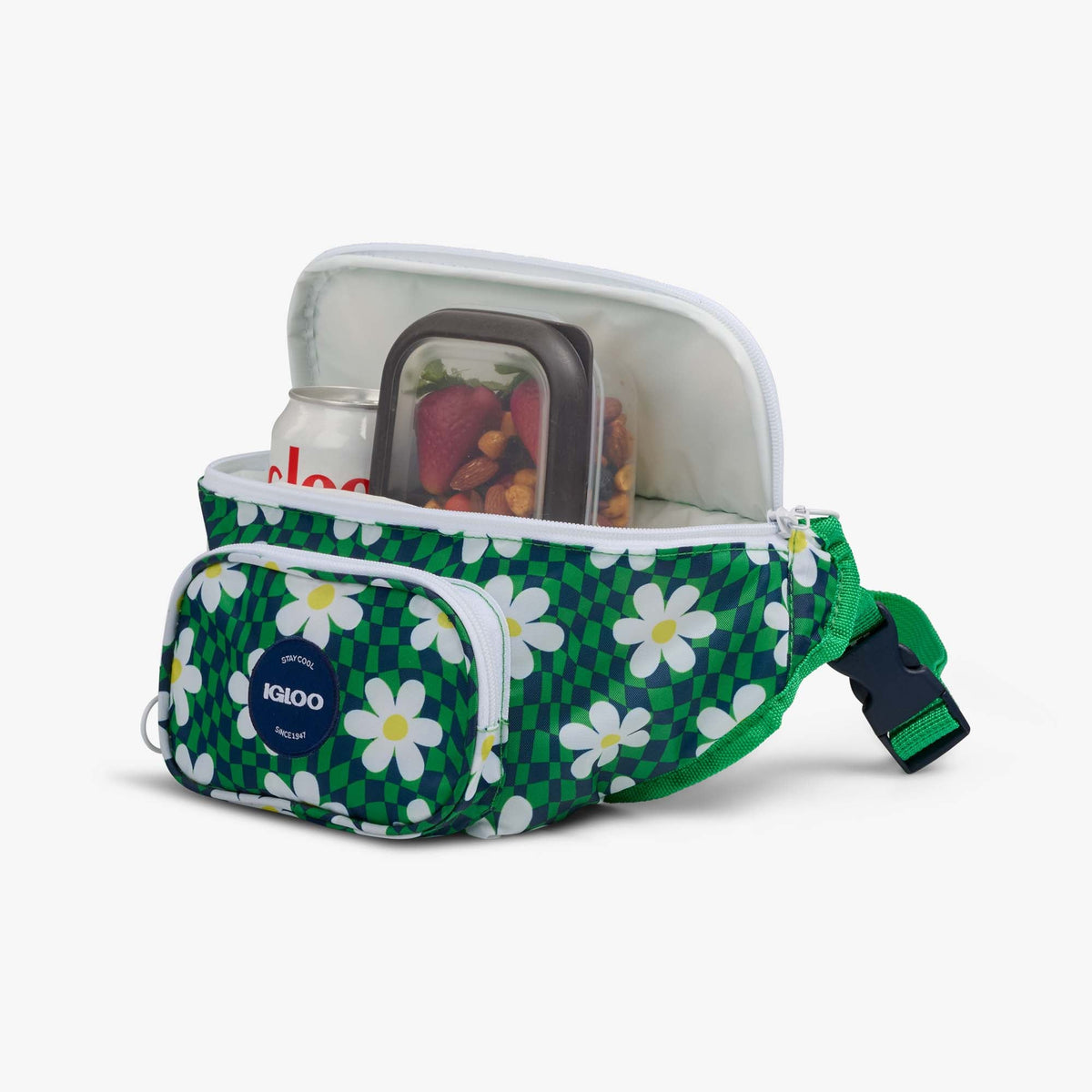 retro-fanny-pack-w0 00067206-P1.jpg